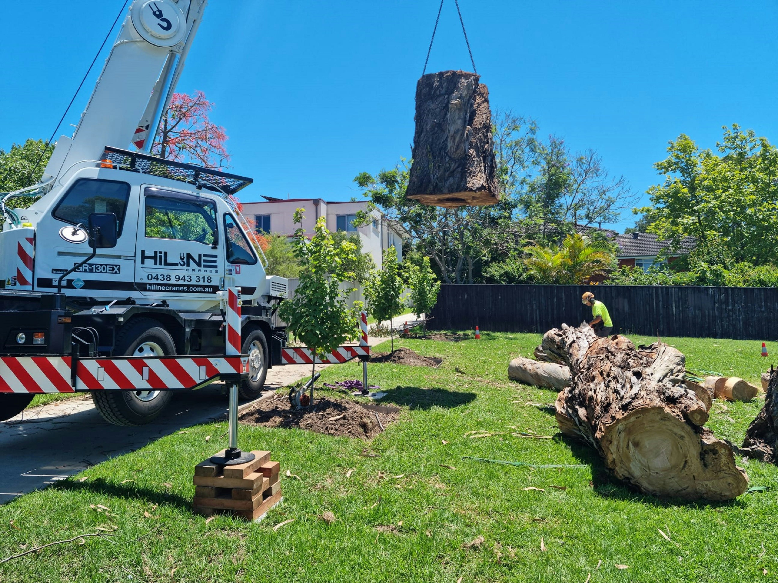 Tree removal and stump grinding by Capitol Tree Care